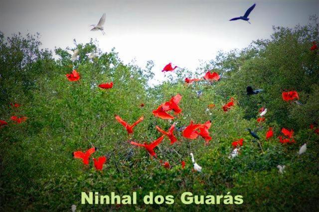 Pousada Real Ilha Comprida מראה חיצוני תמונה